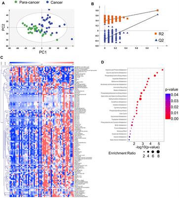 Metabolomic Characterization Reveals ILF2 and ILF3 Affected Metabolic Adaptions in Esophageal Squamous Cell Carcinoma